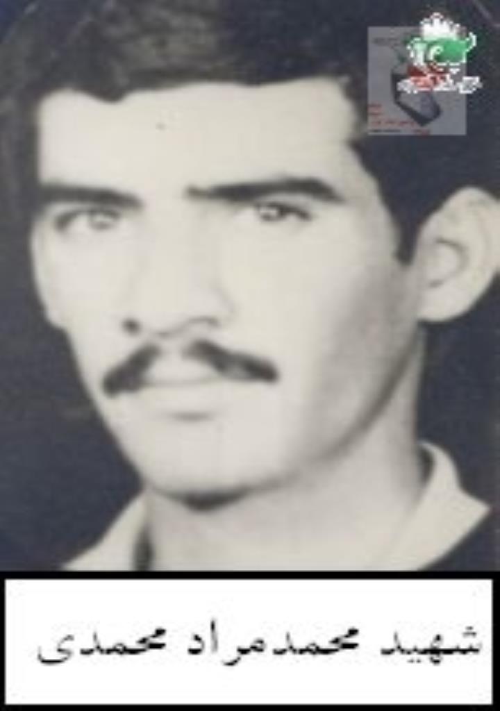 فاقد تصویر